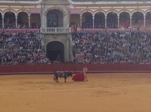 This is only pic we will show of the bullfight #You'reWelcome